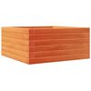 vidaXL Vaso/floreira de jardim 50x50x23 cm pinho maci&ccedil;o castanho-mel