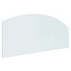 vidaXL Placa de Vidro para Lareira Transparente 120 x 50 cm Vidro