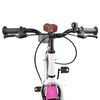 vidaXL Bicicleta Infantil 20 Polegadas para 6-11 Anos Rosa