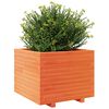 vidaXL Vaso/floreira de jardim 60x60x49,5cm pinho maci&ccedil;o castanho mel