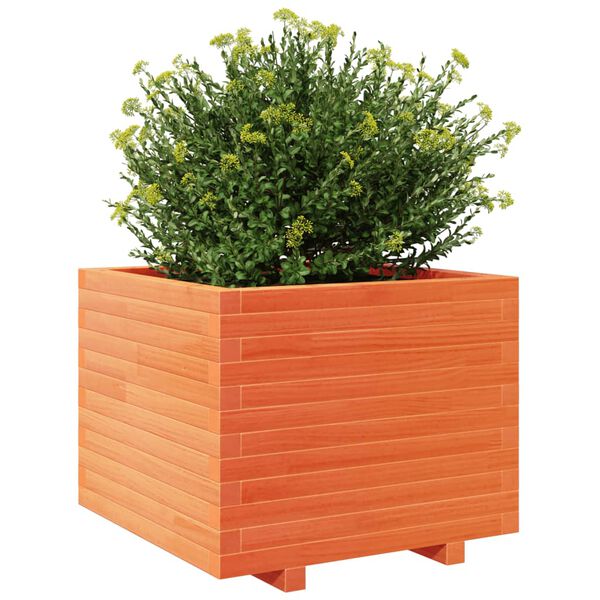 vidaXL Vaso/floreira de jardim 60x60x49,5cm pinho maci&ccedil;o castanho mel