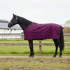 vidaXL Cobertor de Cavalo Verde Escuro e Preto 165 cm Poli&eacute;ster
