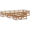 vidaXL Conjunto de Sof&aacute;s para Exterior 9 pcs Natural