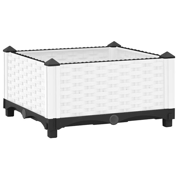 A apresentar a imagem do produto 1 de 8
