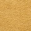 vidaXL Toalhas de bidé premium SOLUND 10 pcs 30x50 cm 600 gsm dourado