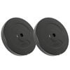 vidaXL Discos de muscula&ccedil;&atilde;o 2 pcs 30 kg cor de cimento
