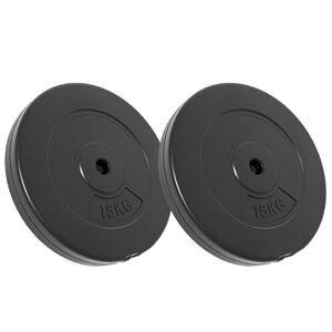 vidaXL Discos de muscula&ccedil;&atilde;o 2 pcs 30 kg cor de cimento