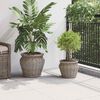 vidaXL Cesta de Plantador com armazenamento 2 pcs Cinzeto Rattan Lacak