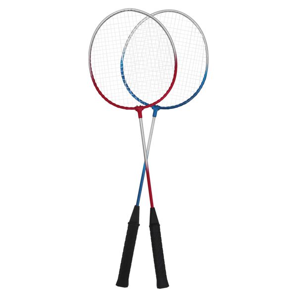 vidaXL Conjunto de badminton com 4 raquetes e rede 620x151 cm