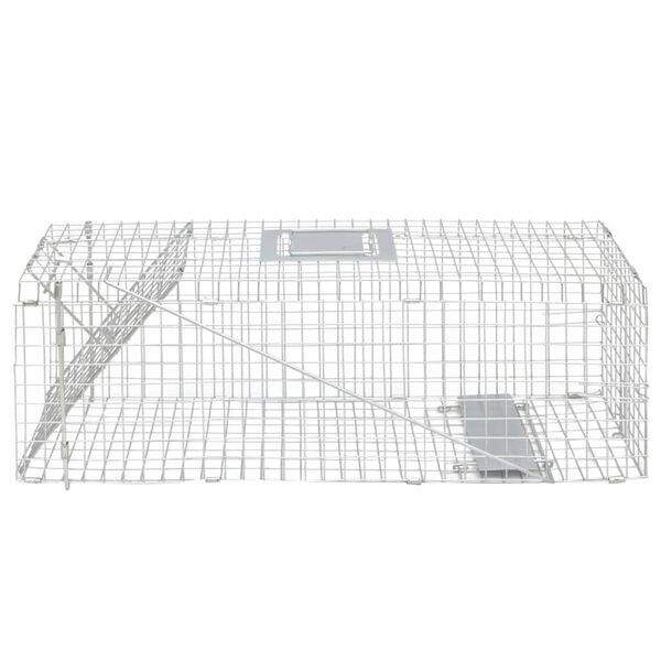 A apresentar a imagem do produto 3 de 3