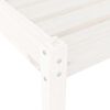 vidaXL Espregui&ccedil;adeiras 2 pcs com mesa pinho maci&ccedil;o branco