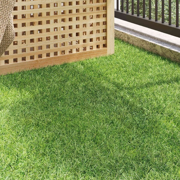 A apresentar a imagem do produto 3 de 10