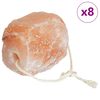 vidaXL Pedras de Sal para Lamber 8 unid. Rosa Sal de Rocha
