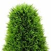 Imagem em miniatura do produto 3 de 5