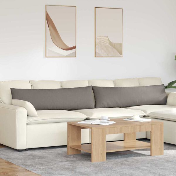 vidaXL Travesseiros de Sof&aacute; 2 pcs Cinzento-acastanhado 145 x 40 cm