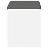 vidaXL Banco de Hall com almofada Branco 63 x 38 x 45 cm