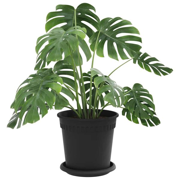 vidaXL Vasos de Plantas 24 pcs Preto &Oslash; 17 x 14 cm Pl&aacute;stico