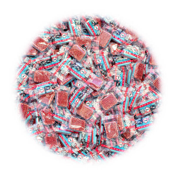 vidaXL Pastilhas para a m&aacute;quina da loi&ccedil;a 12-em-1 500 pcs 9 kg