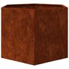 vidaXL Vaso/floreira 60x60x45 cm a&ccedil;o corten cor enferrujado