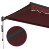 vidaXL Toldo retr&aacute;til autom&aacute;tico 350x250 cm bord&ocirc;