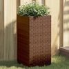 vidaXL Vaso/floreira de jardim 2 pcs 30x30x60 cm vime PE castanho