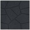 vidaXL Pedra Passo 6 pcs Preto 40,5 x 40,5 x 2 cm Borracha