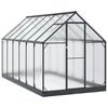 vidaXL Estufa de Jardim 183,5 x 363,5 x 207 cm