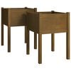 vidaXL Vaso/floreira jardim 2 pcs 50x50x70cm pinho maci&ccedil;o castanho mel