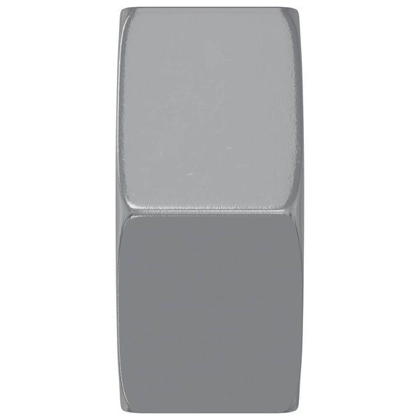 vidaXL Porca Hexagonal 2 pcs Prateado M6 Ferro