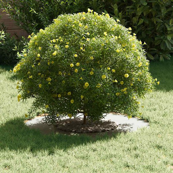 A apresentar a imagem do produto 3 de 9