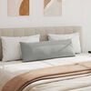 vidaXL Travesseiros de Sof&aacute; 2 pcs Cinzento-claro 120 x 40 cm tecido