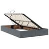 vidaXL Cama com Armazenamento Cinza Escuro 120 x 200 cm Veludo