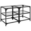 vidaXL Mesas de centro c/ topo vidro transparente 2 pcs 40x40x45cm a&ccedil;o
