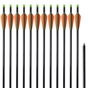 Flechas para arco composto padr&atilde;o 12 pcs 30" 0,8 cm fibra de vidro