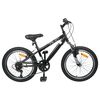 vidaXL Bicicleta de Montanha 24 Polegadas 6-Velocidade para 8-12 anos