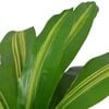 vidaXL Planta dracena artificial com vaso 90 cm verde