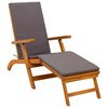 vidaXL Espregui&ccedil;adeira Reclin&aacute;vel e Dobr&aacute;vel 55 x 146 x 91 cm