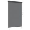 vidaXL Estores de rolo Cinzento-claro 120 x 250 cm Tecido e Alum&iacute;nio
