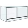 vidaXL Terr&aacute;rio com armazenamento Transparente 80 x 40 x 40 cm Vidro