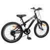 vidaXL Bicicleta de Montanha 24 Polegadas 6-Velocidade para 8-12 anos