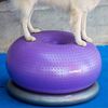 FitPAWS Bola equil&iacute;brio p/ animais estima&ccedil;&atilde;o TRAX Doughnut 55 cm roxo