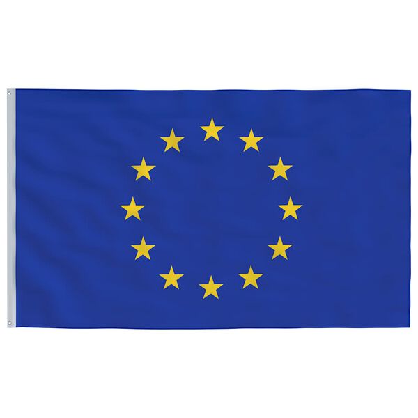 vidaXL Bandeira da Uni&atilde;o Europeia e mastro 6,08 m alum&iacute;nio