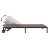 vidaXL Cama de Sol 2-pessoa Castanho 60 x 200 x 27cm vime PE