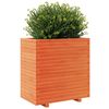 vidaXL Vaso/floreira de jardim 70x40x72,5 cm pinho maci&ccedil;o castanho mel