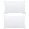 vidaXL Enchimentos para almofad&atilde;o 2 pcs 60x40 cm branco