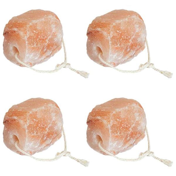 vidaXL Pedras de Sal para Lamber Rosa Sal de Rocha