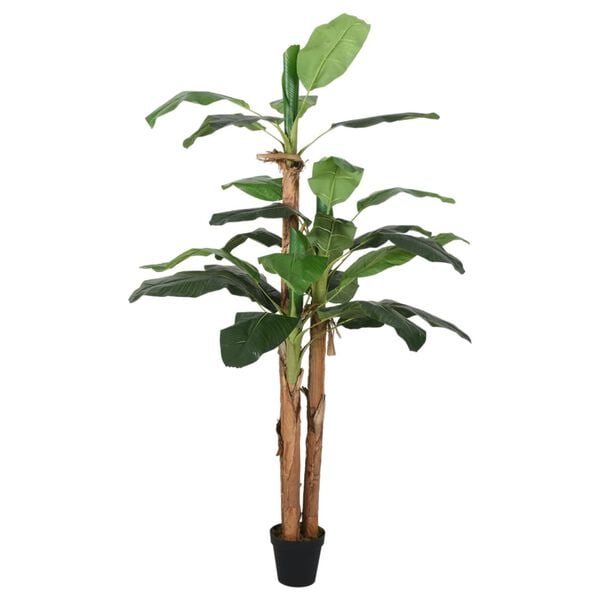 A apresentar a imagem do produto 2 de 5