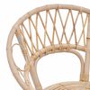 vidaXL Cadeira de jantar 2 pcs Natural 49 x 51 x 81 cm Rattan e Ferro