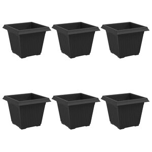 vidaXL Vaso Quadrado para Flores 6 pcs Preto 20 x 20 x 16 cm Pl&aacute;stico