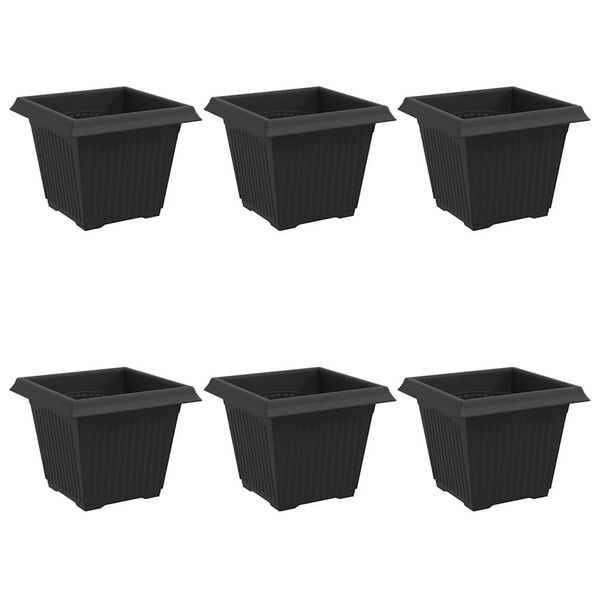vidaXL Vaso Quadrado para Flores 6 pcs Preto 20 x 20 x 16 cm Pl&aacute;stico